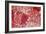 Healthy Cervical Smear-Science Photo Library-Framed Photographic Print