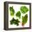 Healthy Dark Green Vegetables-maggy-Framed Premier Image Canvas