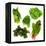 Healthy Dark Green Vegetables-maggy-Framed Premier Image Canvas