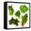 Healthy Dark Green Vegetables-maggy-Framed Premier Image Canvas