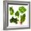 Healthy Dark Green Vegetables-maggy-Framed Photographic Print