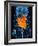 Healthy Digestive System, Artwork-SCIEPRO-Framed Photographic Print