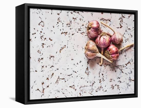 Healthy garlic-Aleksandrova Karina-Framed Premier Image Canvas