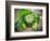 Healthy Green Vegetable Juice on Wooden Table-Kesu01-Framed Photographic Print