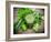 Healthy Green Vegetable Juice on Wooden Table-Kesu01-Framed Photographic Print