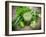 Healthy Green Vegetable Juice on Wooden Table-Kesu01-Framed Photographic Print