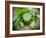 Healthy Green Vegetable Juice on Wooden Table-Kesu01-Framed Photographic Print