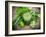 Healthy Green Vegetable Juice on Wooden Table-Kesu01-Framed Photographic Print