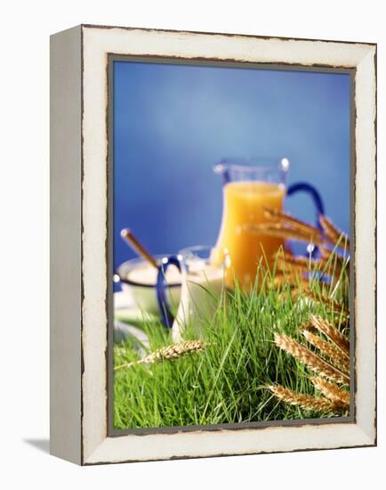 Healthy Ingredients (Quark, Milk, Juice, Cereals) on Grass-null-Framed Premier Image Canvas