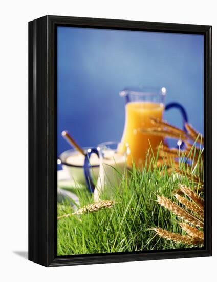 Healthy Ingredients (Quark, Milk, Juice, Cereals) on Grass-null-Framed Premier Image Canvas