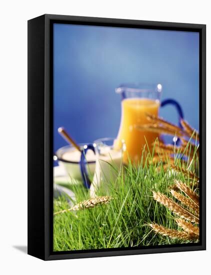 Healthy Ingredients (Quark, Milk, Juice, Cereals) on Grass-null-Framed Premier Image Canvas