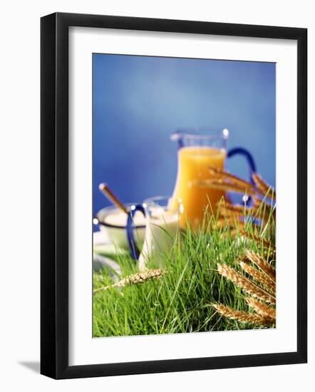 Healthy Ingredients (Quark, Milk, Juice, Cereals) on Grass-null-Framed Photographic Print