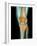 Healthy Knee, X-ray-Science Photo Library-Framed Photographic Print