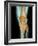 Healthy Knee, X-ray-Science Photo Library-Framed Photographic Print