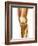 Healthy Knee, X-ray-Science Photo Library-Framed Photographic Print