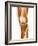 Healthy Knee, X-ray-Science Photo Library-Framed Photographic Print