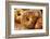 Healthy Organic Whole Grain Bagel-bhofack22-Framed Photographic Print