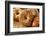 Healthy Organic Whole Grain Bagel-bhofack22-Framed Photographic Print