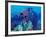 Healthy Reef System, Kimbo Bay, West New Britain, Papua New Guinea-Michele Westmorland-Framed Photographic Print