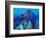 Healthy Reef System, Kimbo Bay, West New Britain, Papua New Guinea-Michele Westmorland-Framed Photographic Print