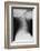 Healthy Spine of the Neck, X-ray'-Du Cane Medical-Framed Photographic Print