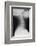 Healthy Spine of the Neck, X-ray'-Du Cane Medical-Framed Photographic Print