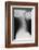 Healthy Spine of the Neck, X-ray'-Du Cane Medical-Framed Photographic Print