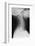 Healthy Spine of the Neck, X-ray'-Du Cane Medical-Framed Photographic Print