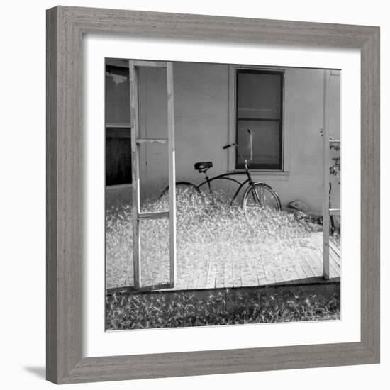 Heap of milkweed seeds and a bicycle in a porch, Taos, New Mexico, USA-Panoramic Images-Framed Photographic Print