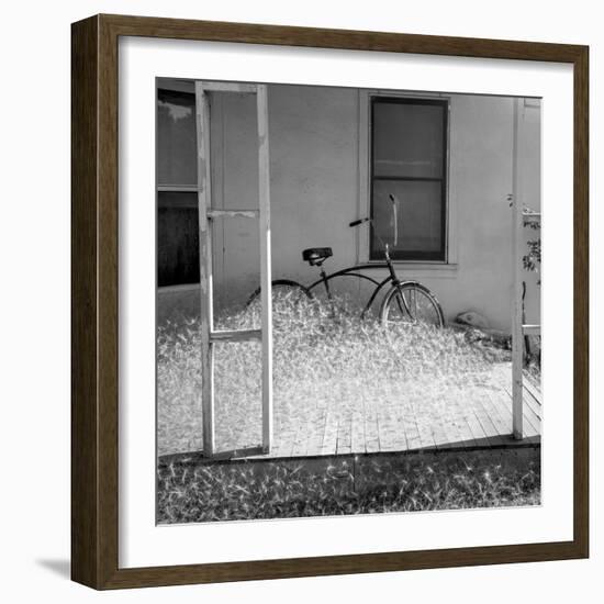 Heap of milkweed seeds and a bicycle in a porch, Taos, New Mexico, USA-Panoramic Images-Framed Photographic Print