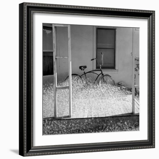 Heap of milkweed seeds and a bicycle in a porch, Taos, New Mexico, USA-Panoramic Images-Framed Photographic Print