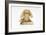 Hear No Evil, One of the Three Wise Monkeys-Japanese School-Framed Giclee Print