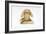 Hear No Evil, One of the Three Wise Monkeys-Japanese School-Framed Giclee Print