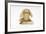 Hear No Evil, One of the Three Wise Monkeys-Japanese School-Framed Giclee Print