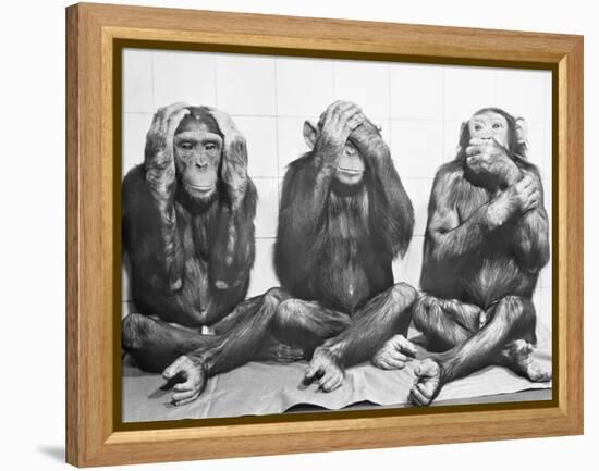 Hear No Evil, See No Evil, Speak No Evil-null-Framed Premier Image Canvas