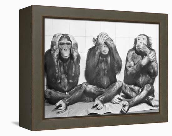 Hear No Evil, See No Evil, Speak No Evil-null-Framed Premier Image Canvas