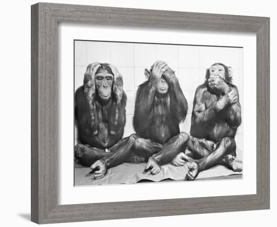 Hear No Evil, See No Evil, Speak No Evil-null-Framed Photographic Print