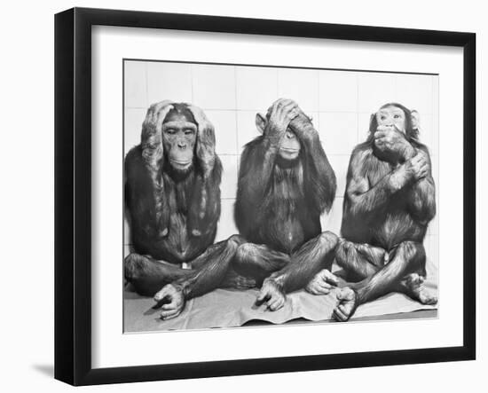 Photographic Print, , large