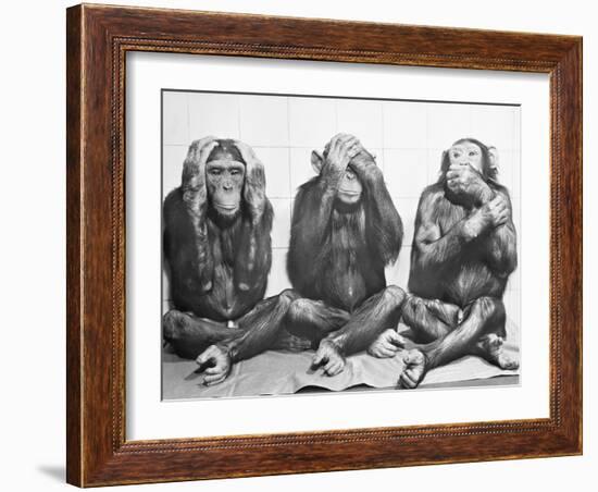 Hear No Evil, See No Evil, Speak No Evil-null-Framed Photographic Print