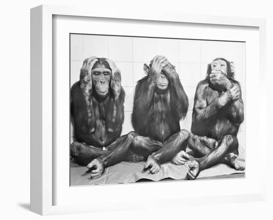 Hear No Evil, See No Evil, Speak No Evil-null-Framed Photographic Print