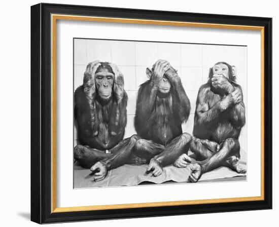 Hear No Evil, See No Evil, Speak No Evil-null-Framed Photographic Print