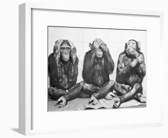 Hear No Evil, See No Evil, Speak No Evil-null-Framed Photographic Print