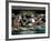 Hear No Evil, Speak No Evil, See No Evil, Toshogu Shrine, Tochigi, Nikko, Japan-Rob Tilley-Framed Photographic Print