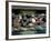 Hear No Evil, Speak No Evil, See No Evil, Toshogu Shrine, Tochigi, Nikko, Japan-Rob Tilley-Framed Photographic Print