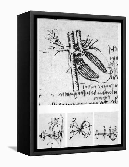 Heart Anatomy, 16th Century-Science Photo Library-Framed Premier Image Canvas