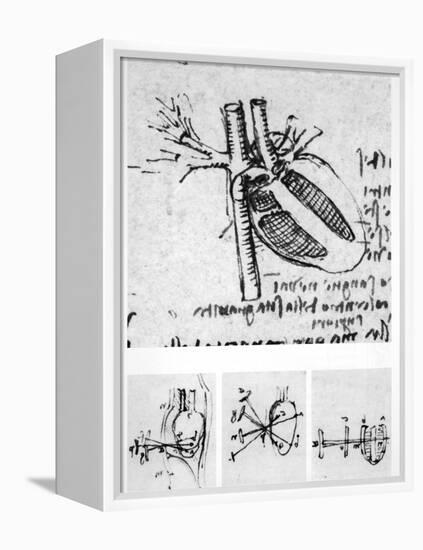 Heart Anatomy, 16th Century-Science Photo Library-Framed Premier Image Canvas