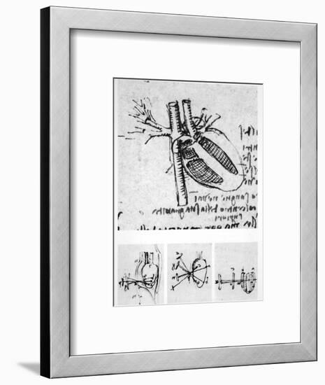 Heart Anatomy, 16th Century-Science Photo Library-Framed Photographic Print