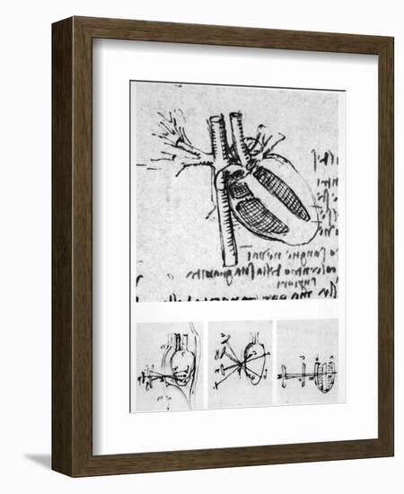 Heart Anatomy, 16th Century-Science Photo Library-Framed Photographic Print