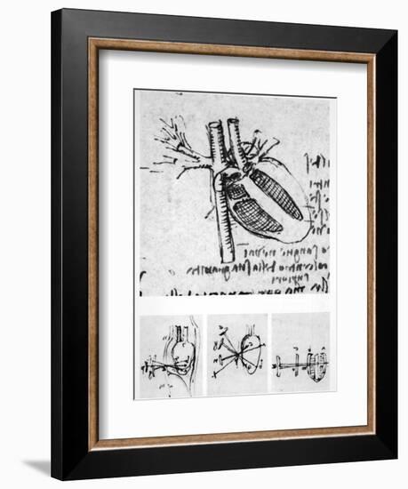 Heart Anatomy, 16th Century-Science Photo Library-Framed Photographic Print