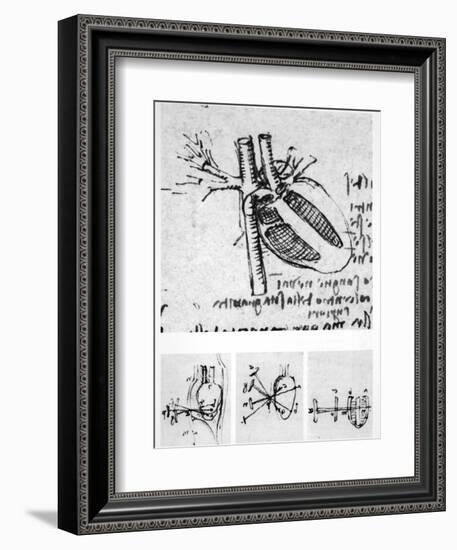 Heart Anatomy, 16th Century-Science Photo Library-Framed Photographic Print